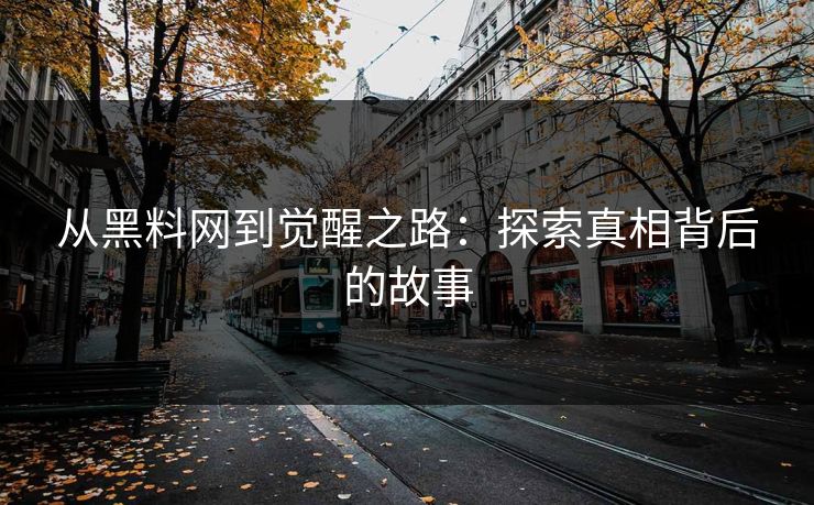 从黑料网到觉醒之路：探索真相背后的故事