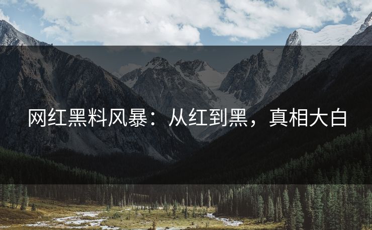 网红黑料风暴:从红到黑,真相大白