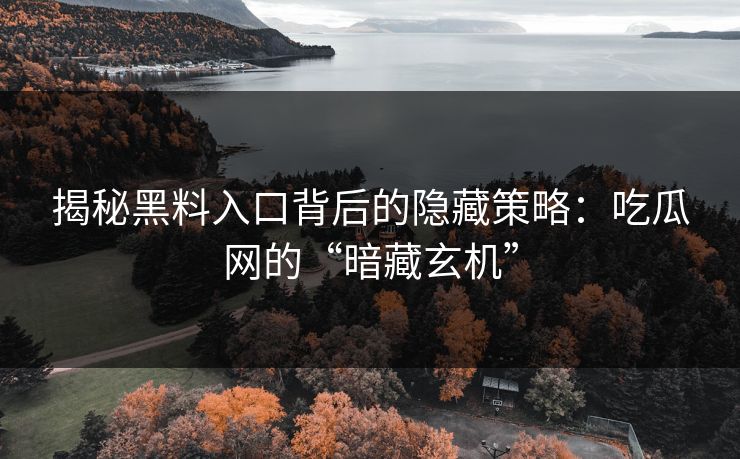揭秘黑料入口背后的隐藏策略：吃瓜网的“暗藏玄机”