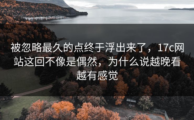 被忽略最久的点终于浮出来了,17c网站这回不像是偶然,为什么说越晚看越有感觉