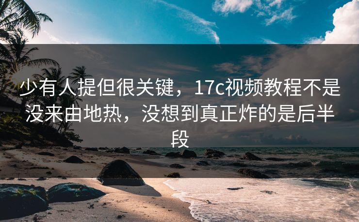 少有人提但很关键,17c视频教程不是没来由地热,没想到真正炸的是后半段