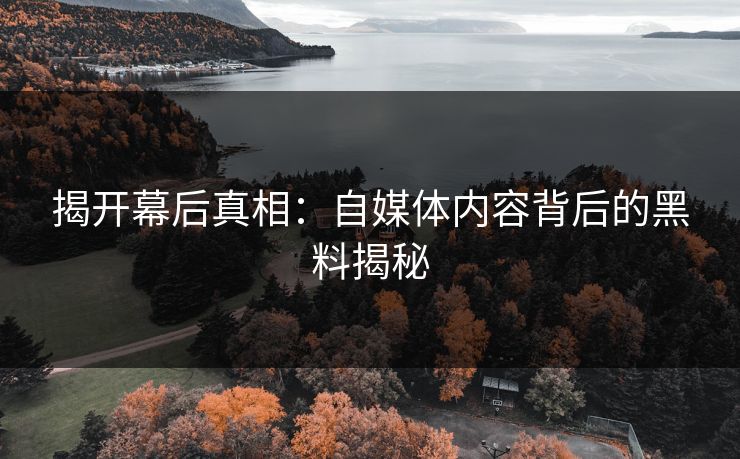 揭开幕后真相:自媒体内容背后的黑料揭秘